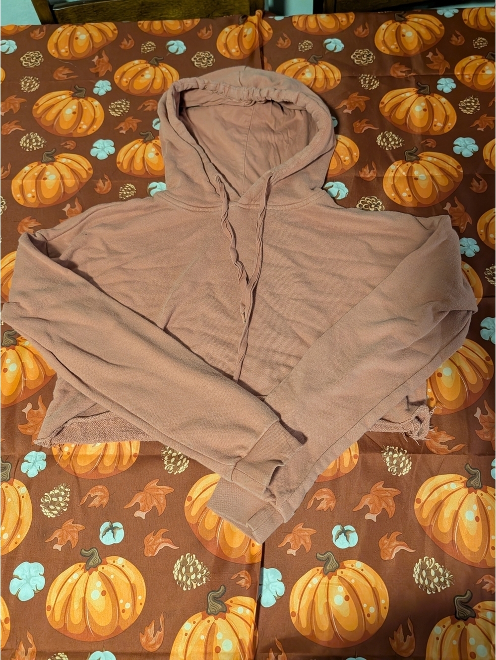 Harlow Cropped Hoodie in Dusty Rose